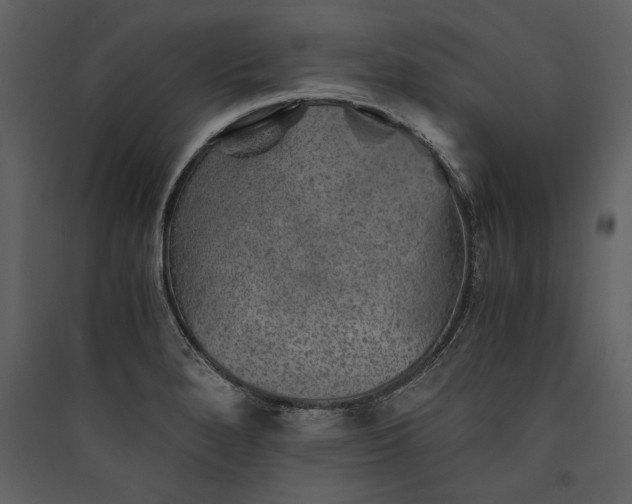 X0000089921280200707131402