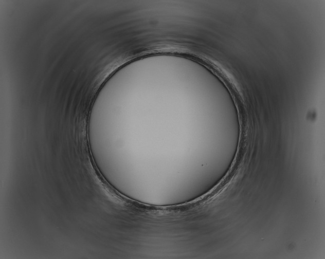 X0000089921281200707131402