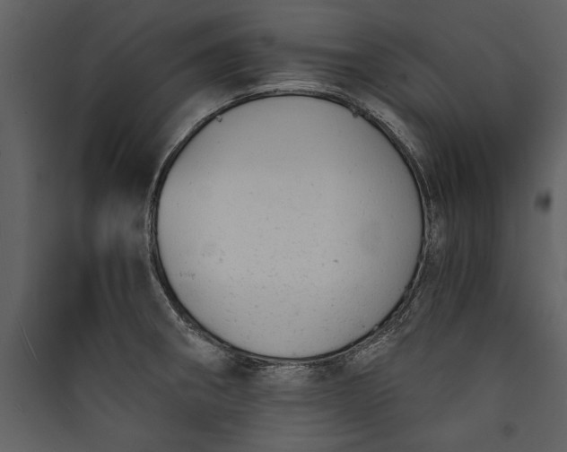 X0000089921282200707131402
