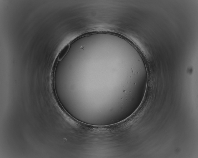 X0000089921285200707131402