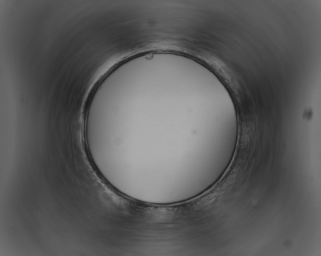 X0000089921286200707131402
