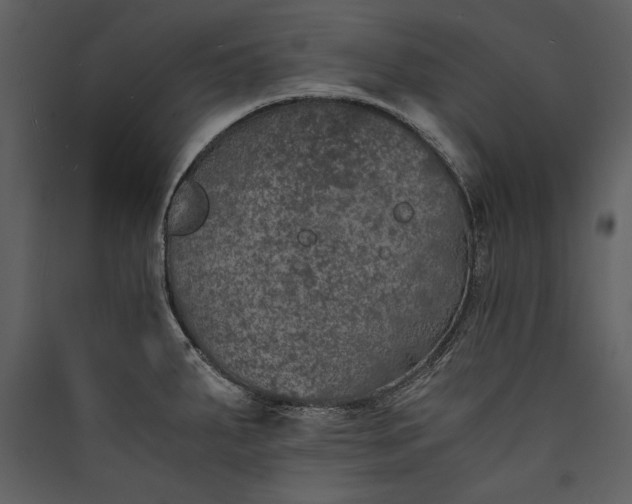 X0000089921287200707131402