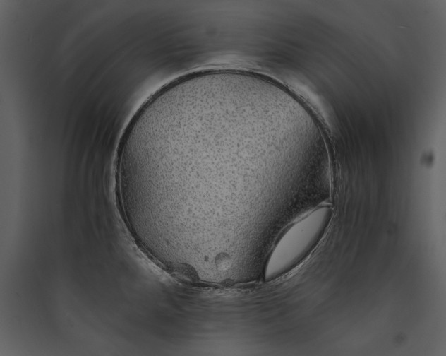 X0000089921288200707131402