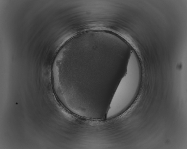 X0000089921289200707131402
