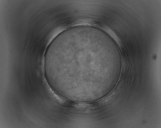 X0000089921290200707131402
