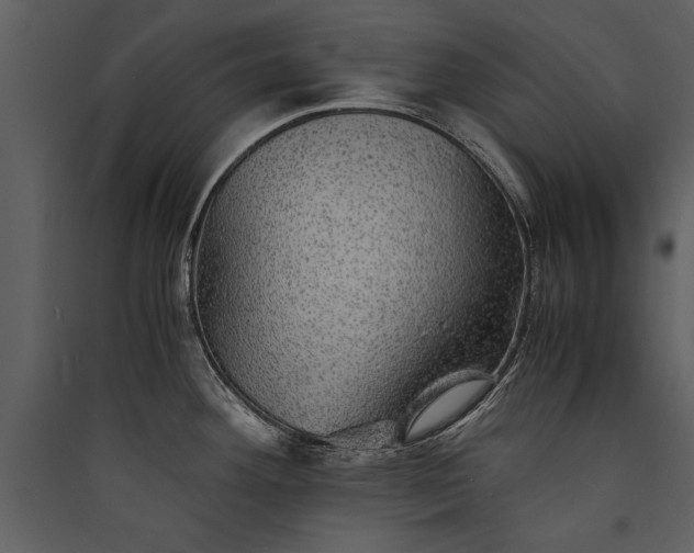 X0000089921292200707131402