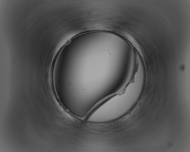 X0000089921293200707131402