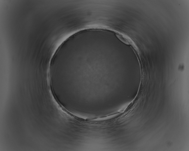 X0000089921295200707131402