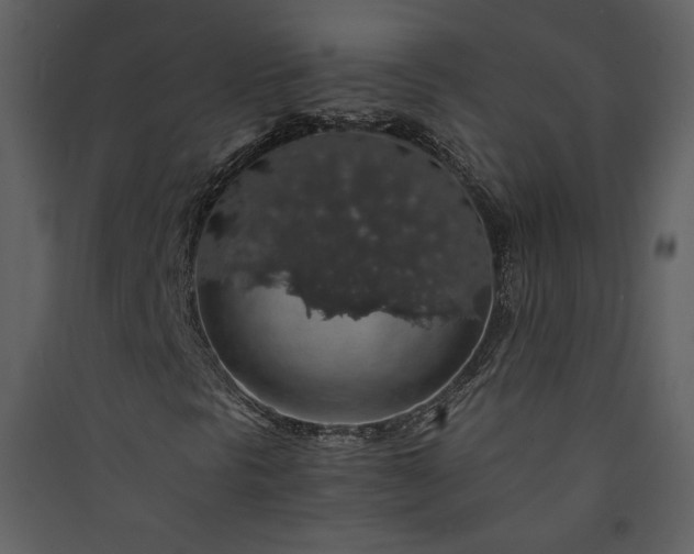 X0000089921297200707131402