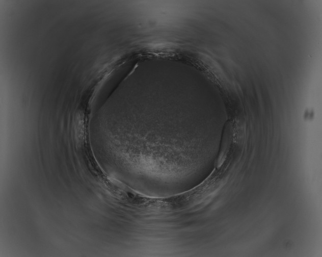 X0000089921298200707131402