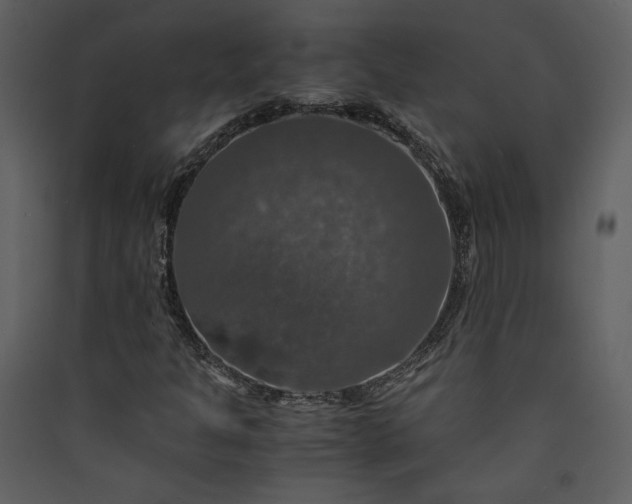 X0000089921301200707131402