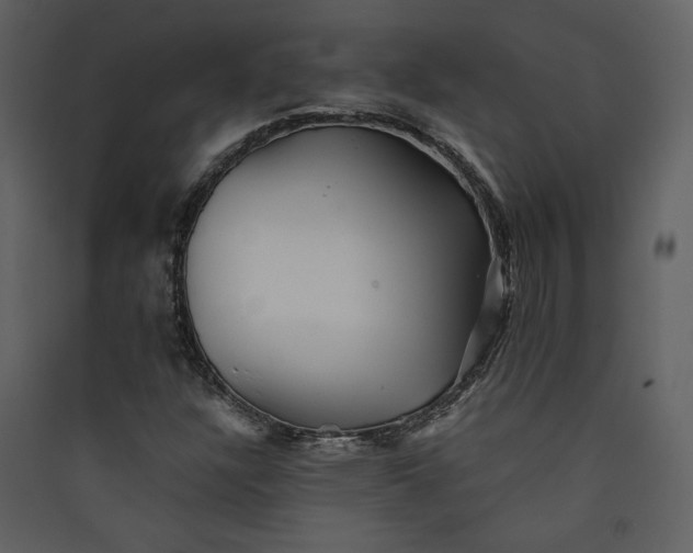 X0000089921304200707131402