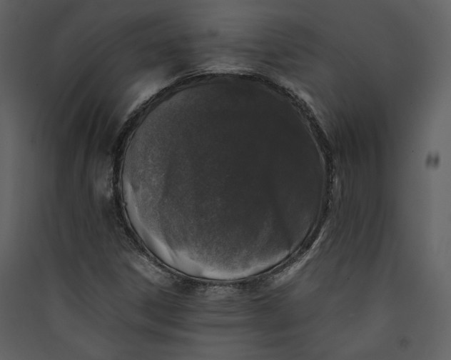 X0000089921306200707131402