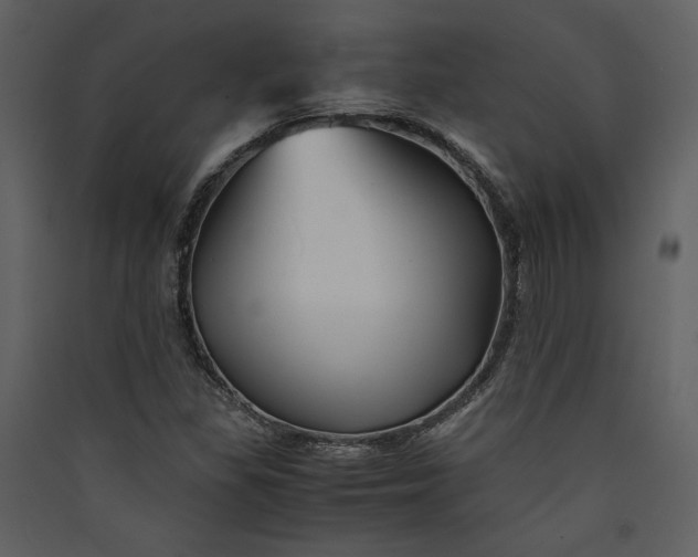 X0000089921309200707131402