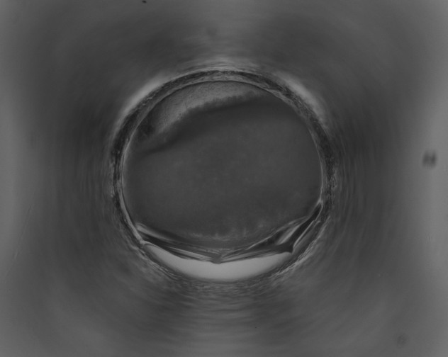 X0000089921310200707131402