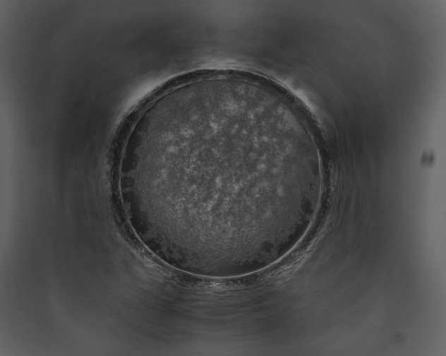 X0000089921311200707131402