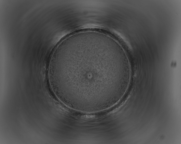 X0000089921313200707131402