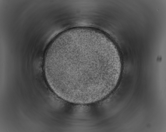 X0000089921314200707131402