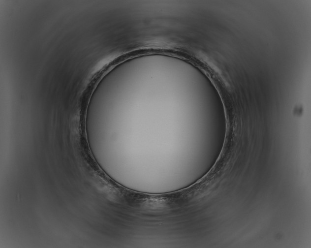 X0000089921315200707131402