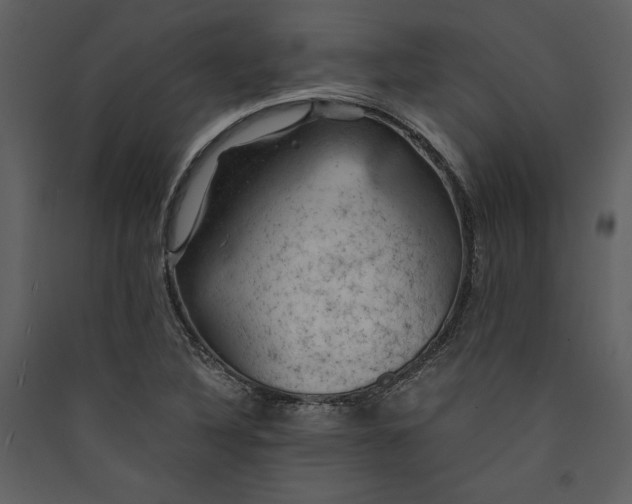 X0000089921316200707131402