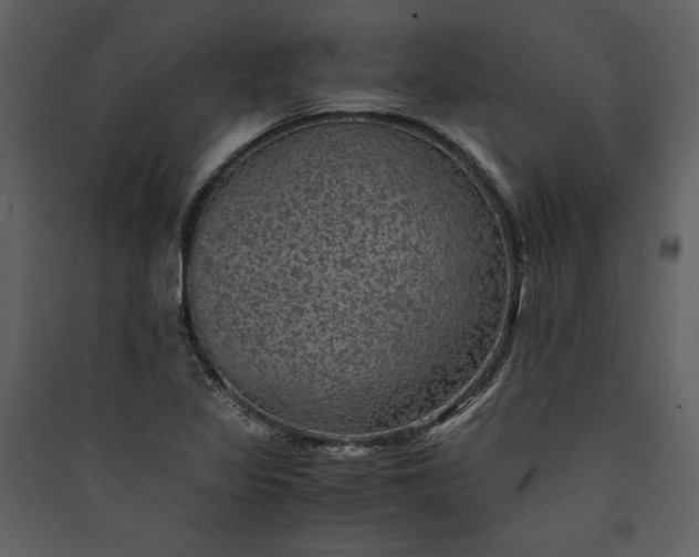 X0000089921317200707131402