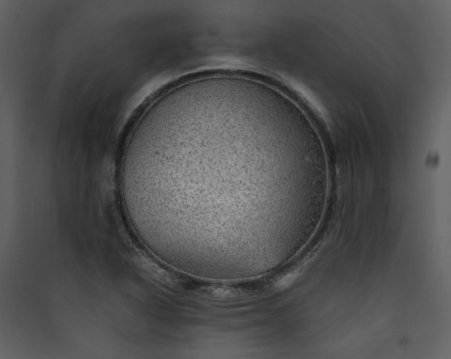 X0000089921318200707131402