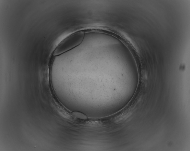 X0000089921320200707131402