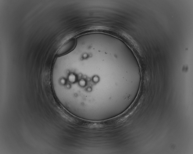 X0000089921321200707131402