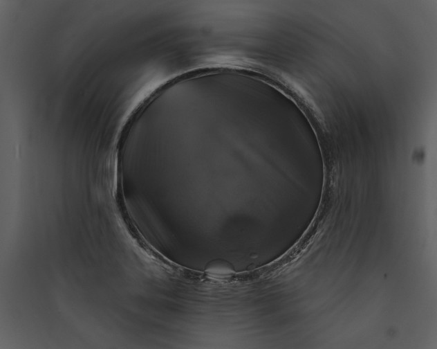 X0000089921323200707131402