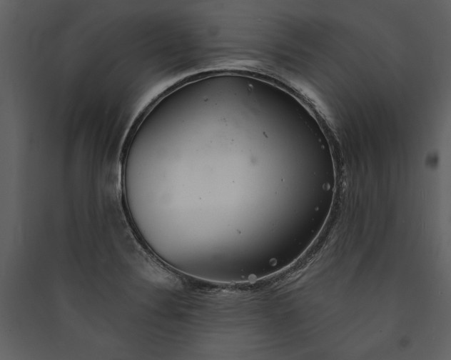X0000089921324200707131402