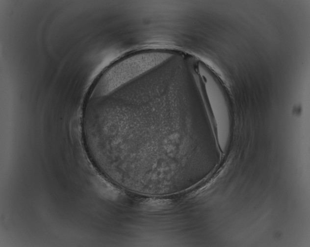 X0000089921325200707131402
