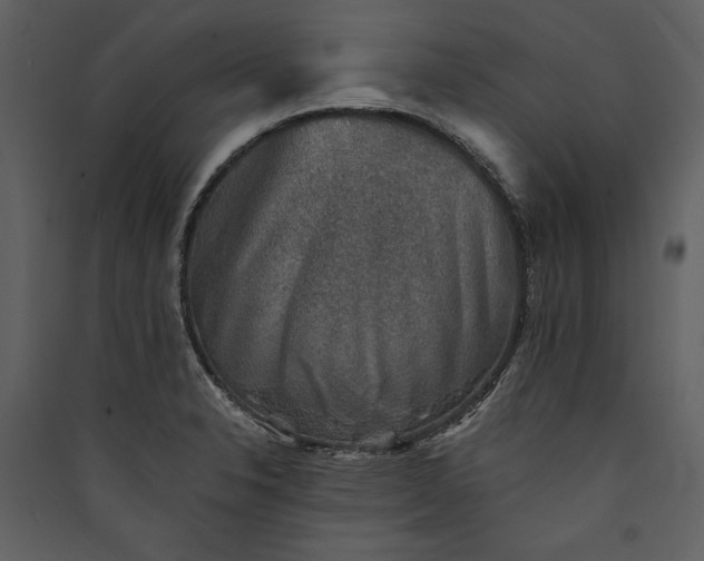 X0000089921326200707131402