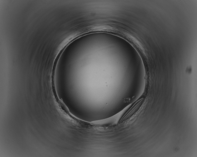 X0000089921330200707131402