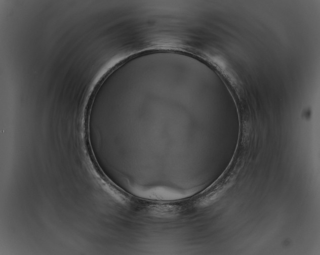 X0000089921331200707131402