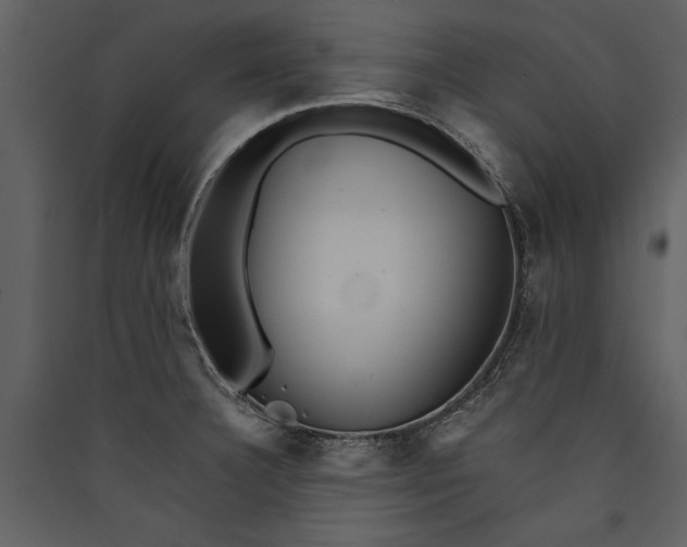 X0000089921332200707131402