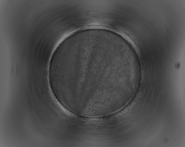 X0000089921333200707131402