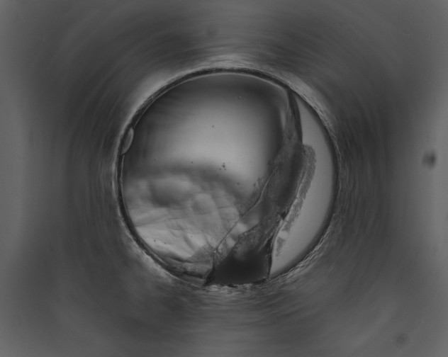 X0000089921334200707131402