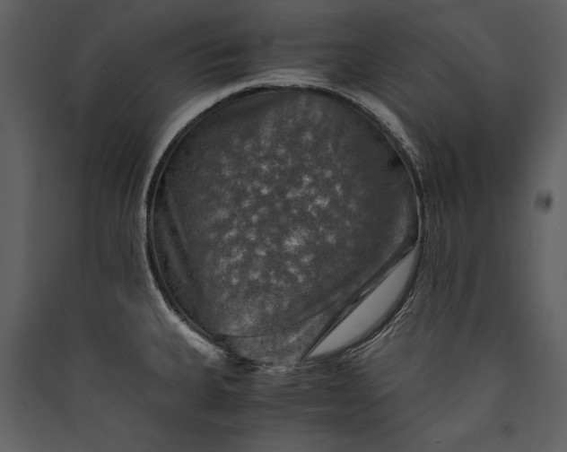 X0000089921335200707131402