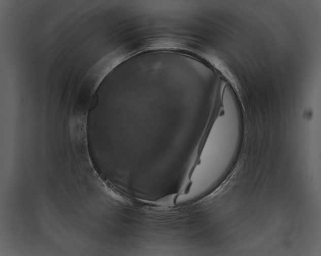 X0000089921337200707131402
