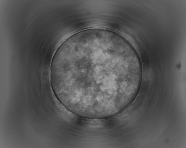 X0000089921338200707131402