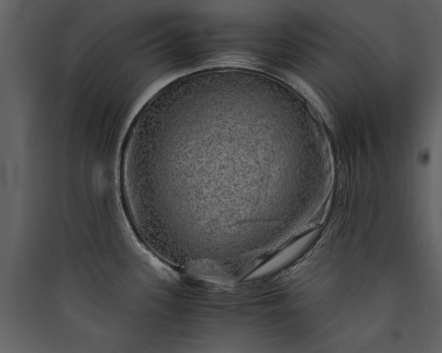 X0000089921339200707131402
