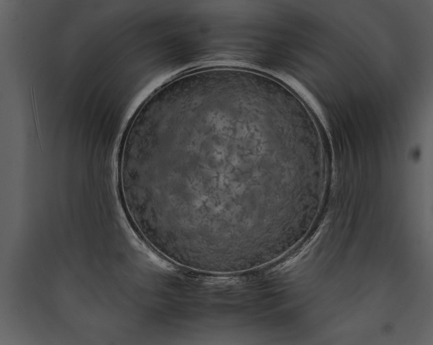 X0000089921341200707131402