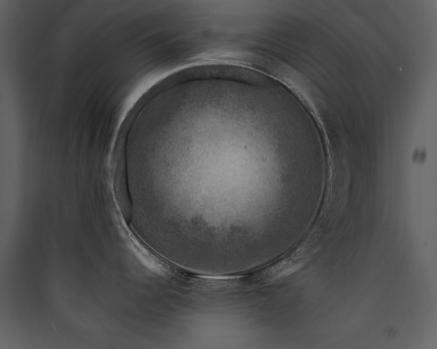 X0000089921344200707131402