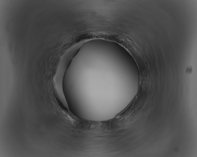 X0000089921345200707131402