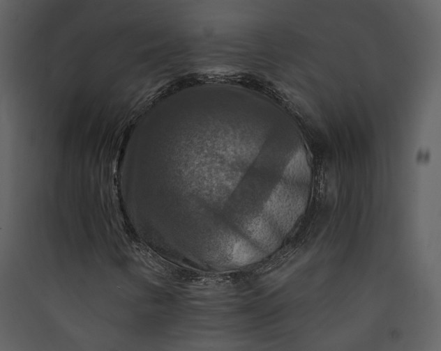 X0000089921346200707131402