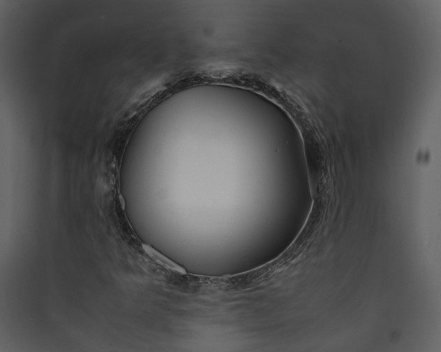 X0000089921349200707131402