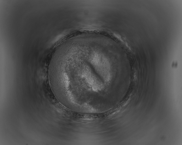 X0000089921350200707131402
