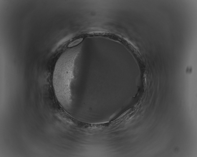 X0000089921351200707131402