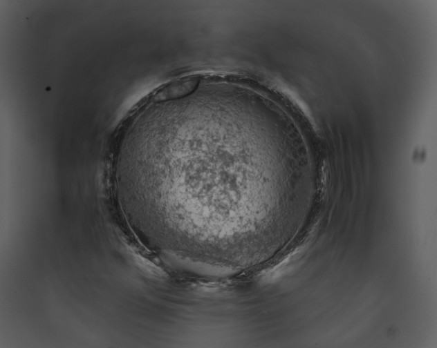 X0000089921352200707131402