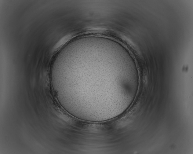 X0000089921354200707131402